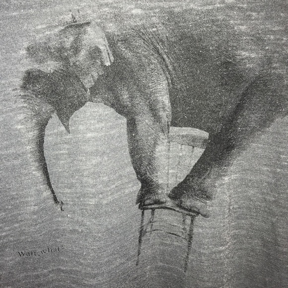 Grey AEO Elephant Top - Picture 2 of 4